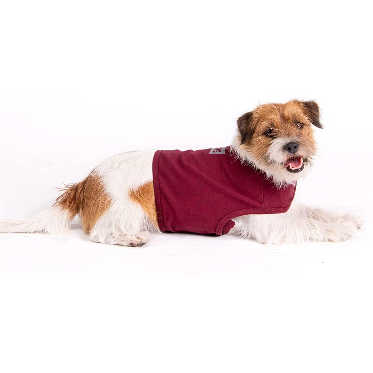 Dogs Anti Anxiety Rebates - RebateKey