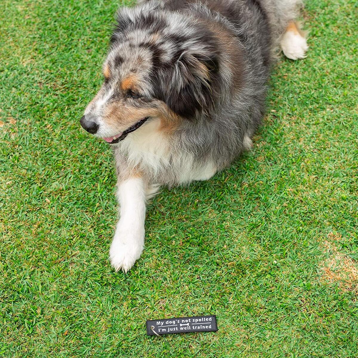 Dog Keychain Cashback Rebates - RebateKey