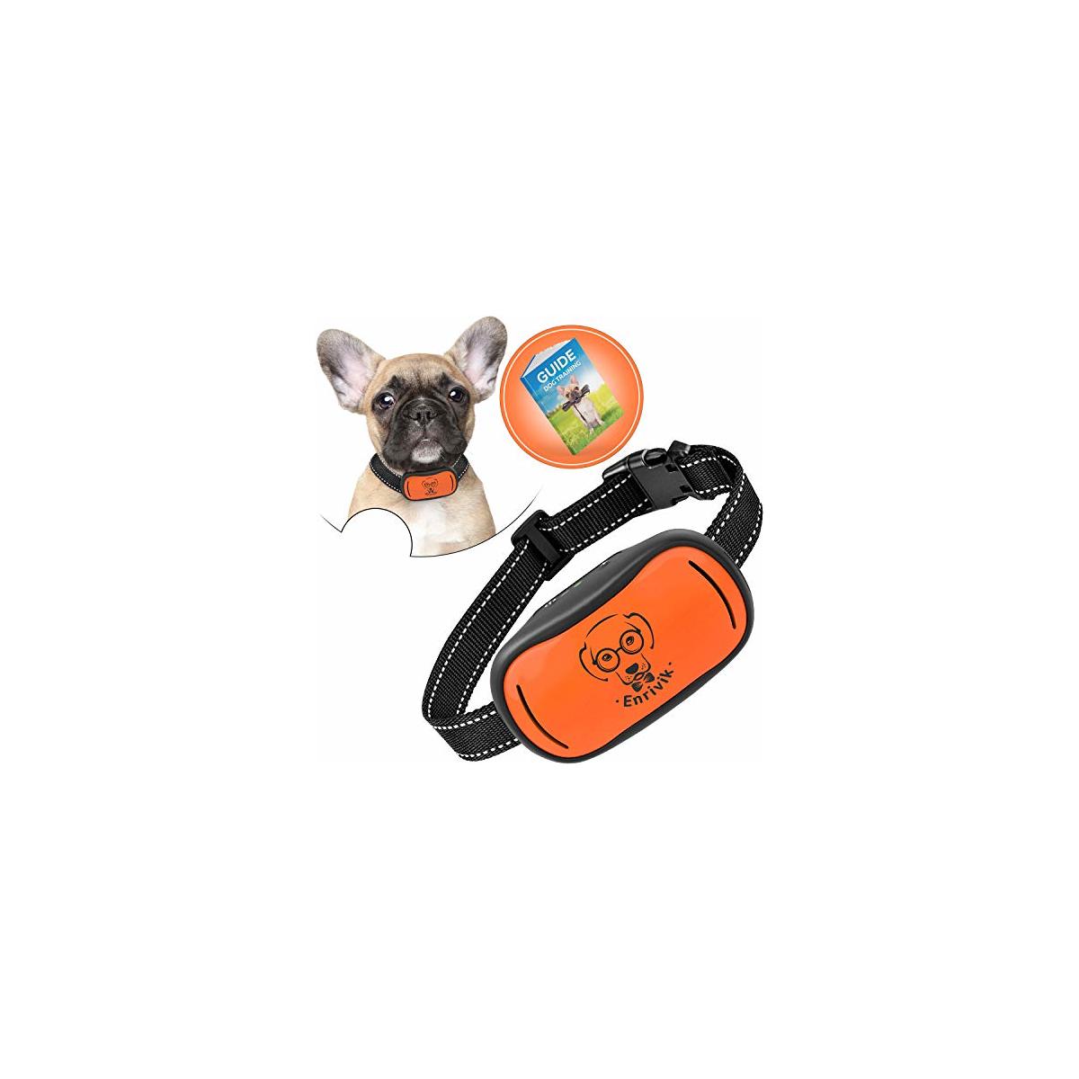 Antibark Collar Dogs Rebate RebateKey