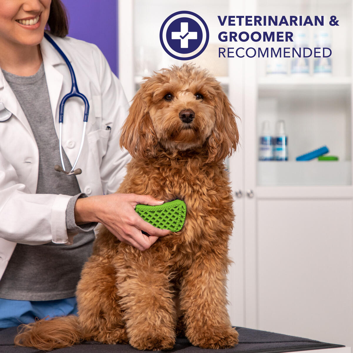 Brush For Grooming Pet Rebates - RebateKey