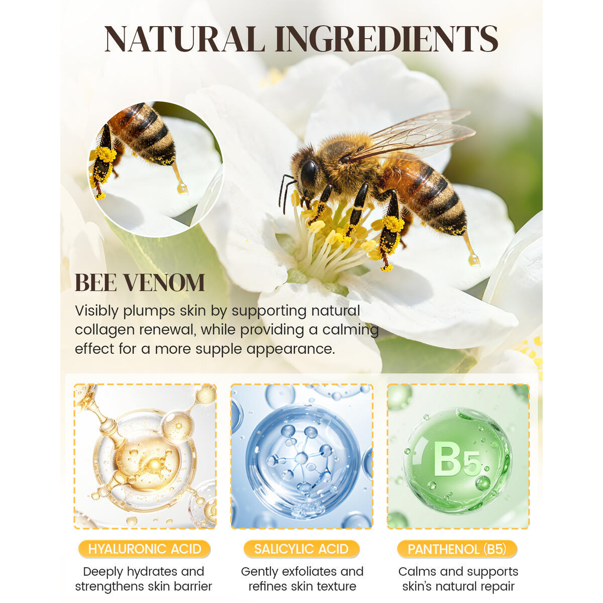 Bee Venom Comprehensive Cream 3 Rebate - RebateKey