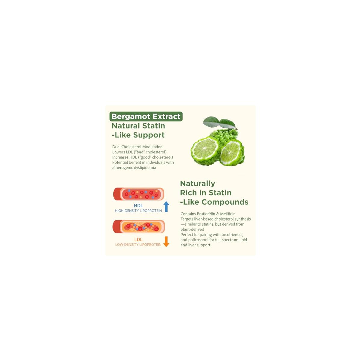 Advanced Cholesterol Supplements Cash Back - RebateKey