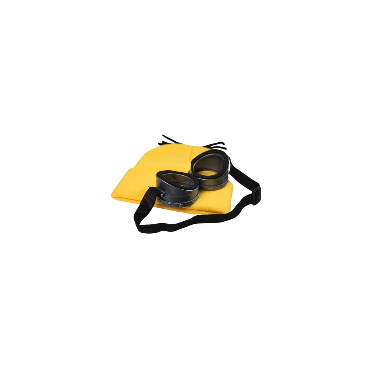 Minions Costume Set Rebate - RebateKey