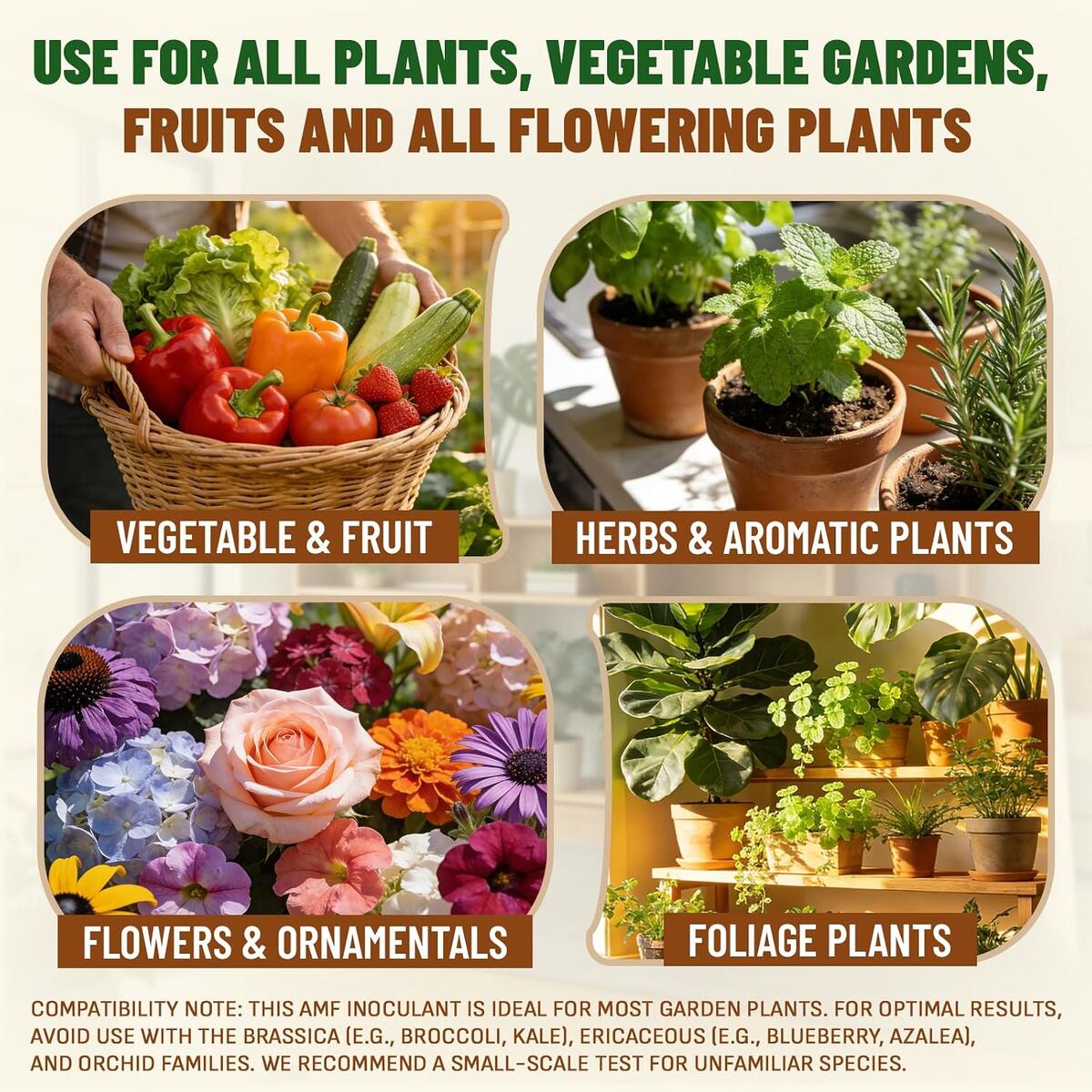 Organic Plant Food Indoor Cashback - RebateKey