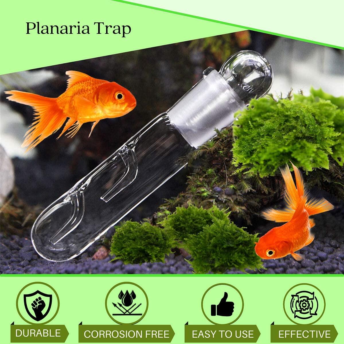 Planaria Trap Rebates - RebateKey