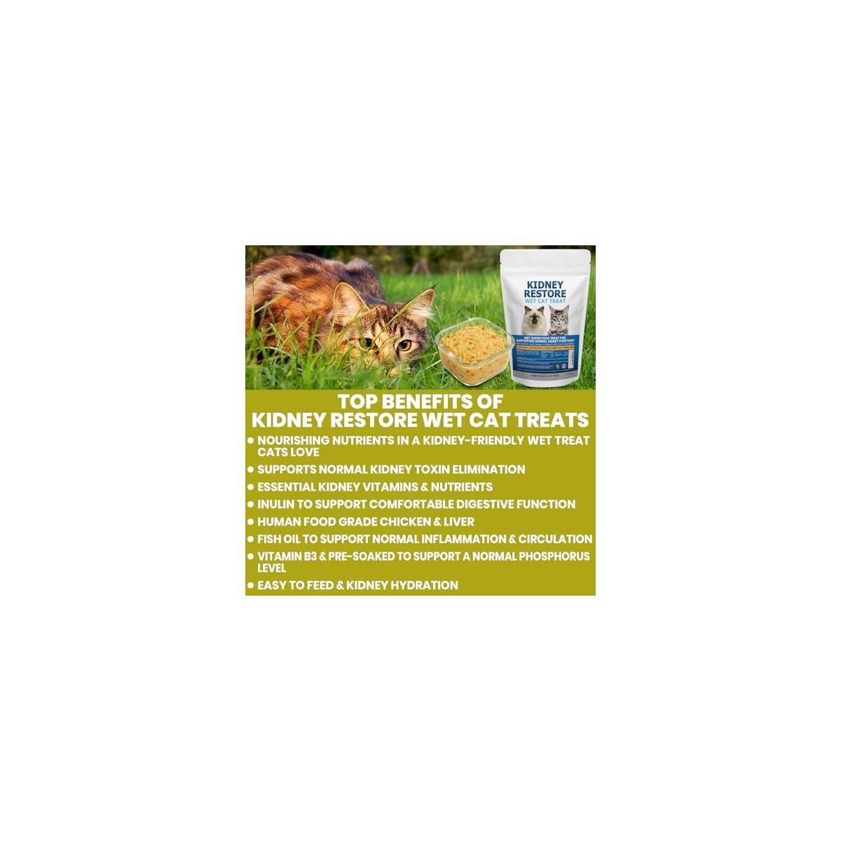 Fresh Made Kidney Cash Back - RebateKey