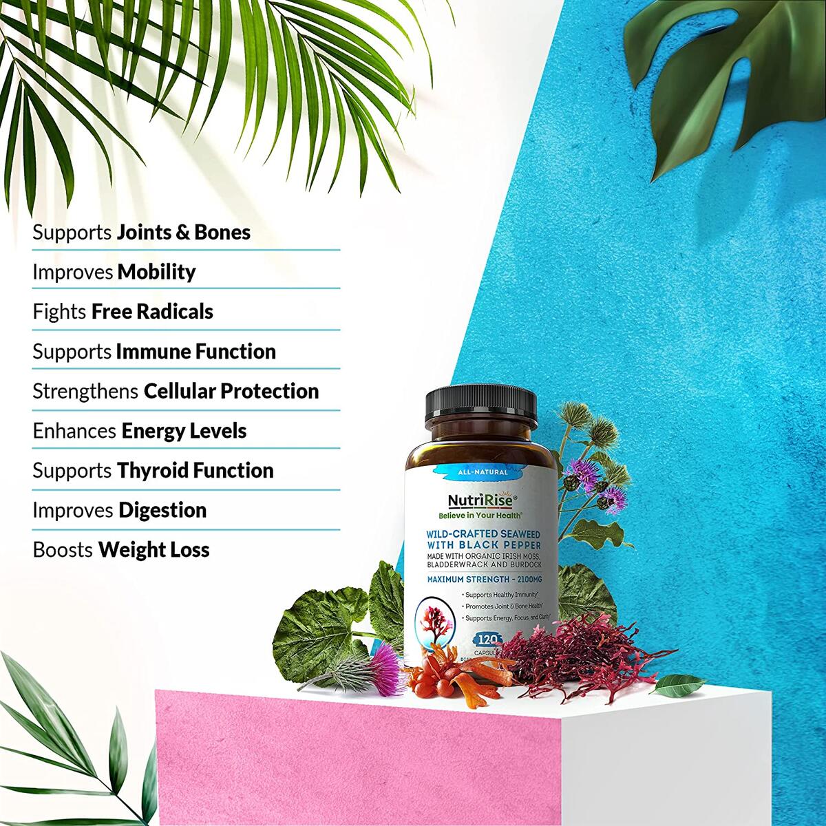 Organic Irish Sea Moss Rebate - RebateKey