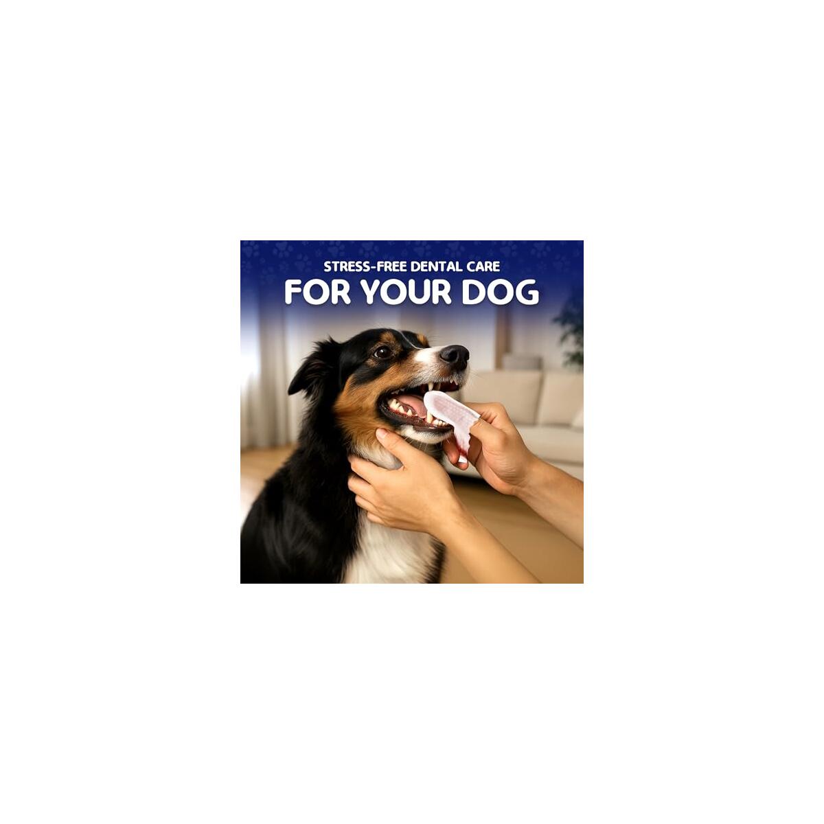 Pet Teeth Cleaning Wipes For Dogs Cats Cashback Rebate - RebateKey