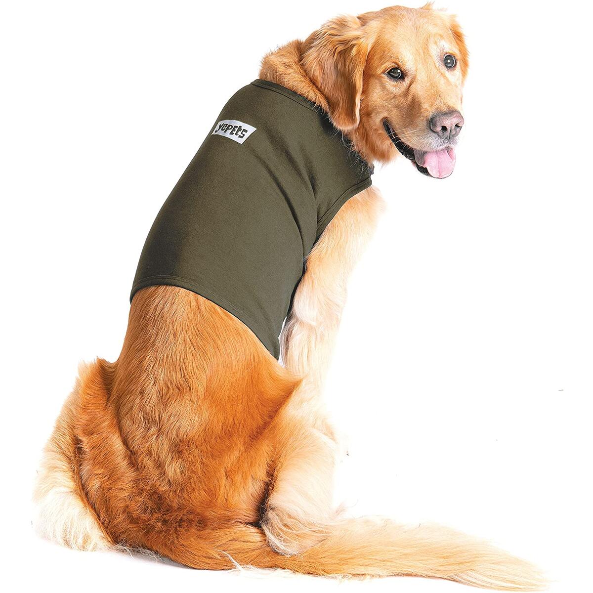 Dogs Anti Anxiety Rebates - RebateKey