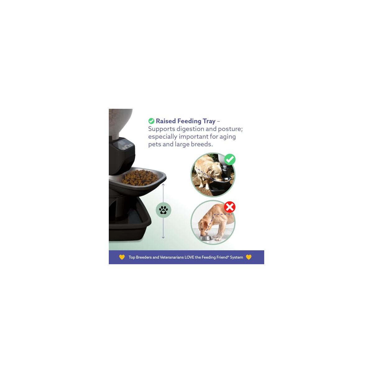 Automatic Dog Cat Food Feeder With Water 2 Cashback Rebate - RebateKey