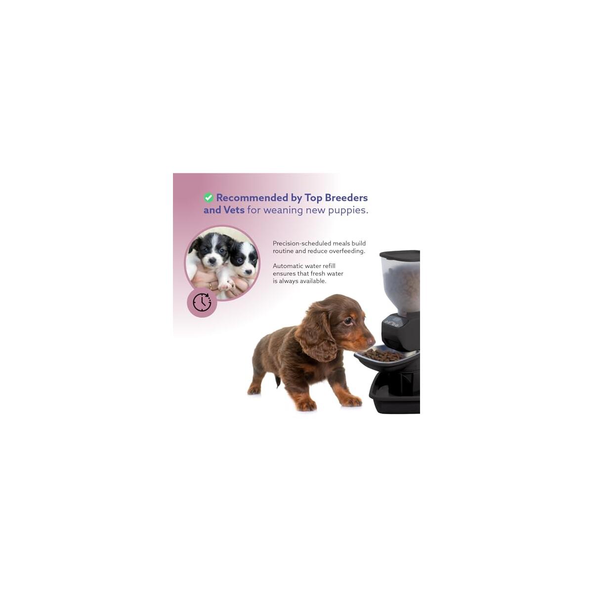 Automatic Dog Cat Food Feeder With Water 1 Rebates - RebateKey