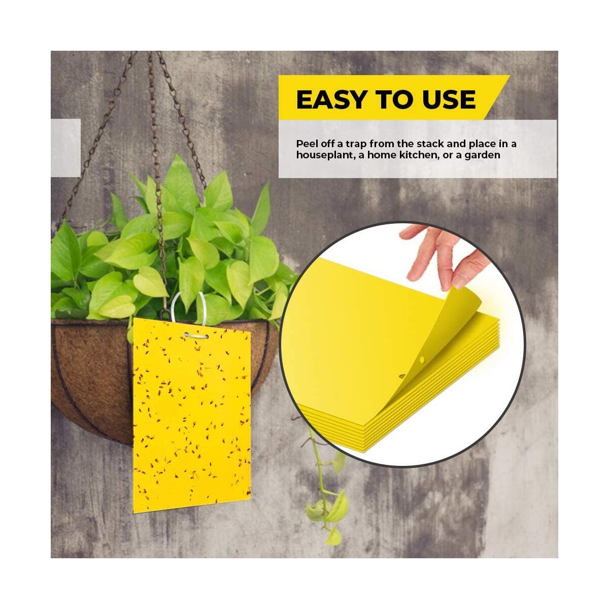 Fly Traps Cashback Rebates - RebateKey