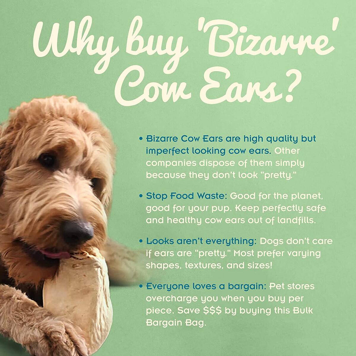Bizarre Cow Ears Rebates - RebateKey
