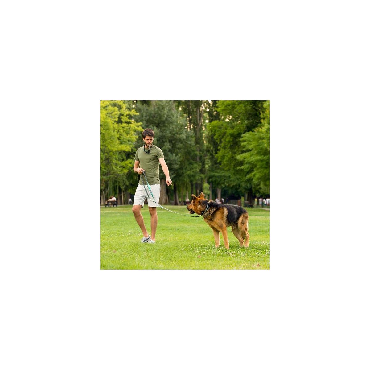 Hands Free Dog Leash5 Cashback - RebateKey