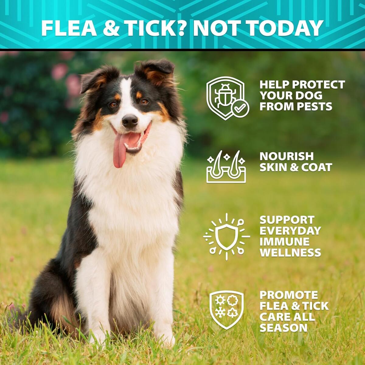 Dog Flea And Tick Treatment 1 Rebate - RebateKey