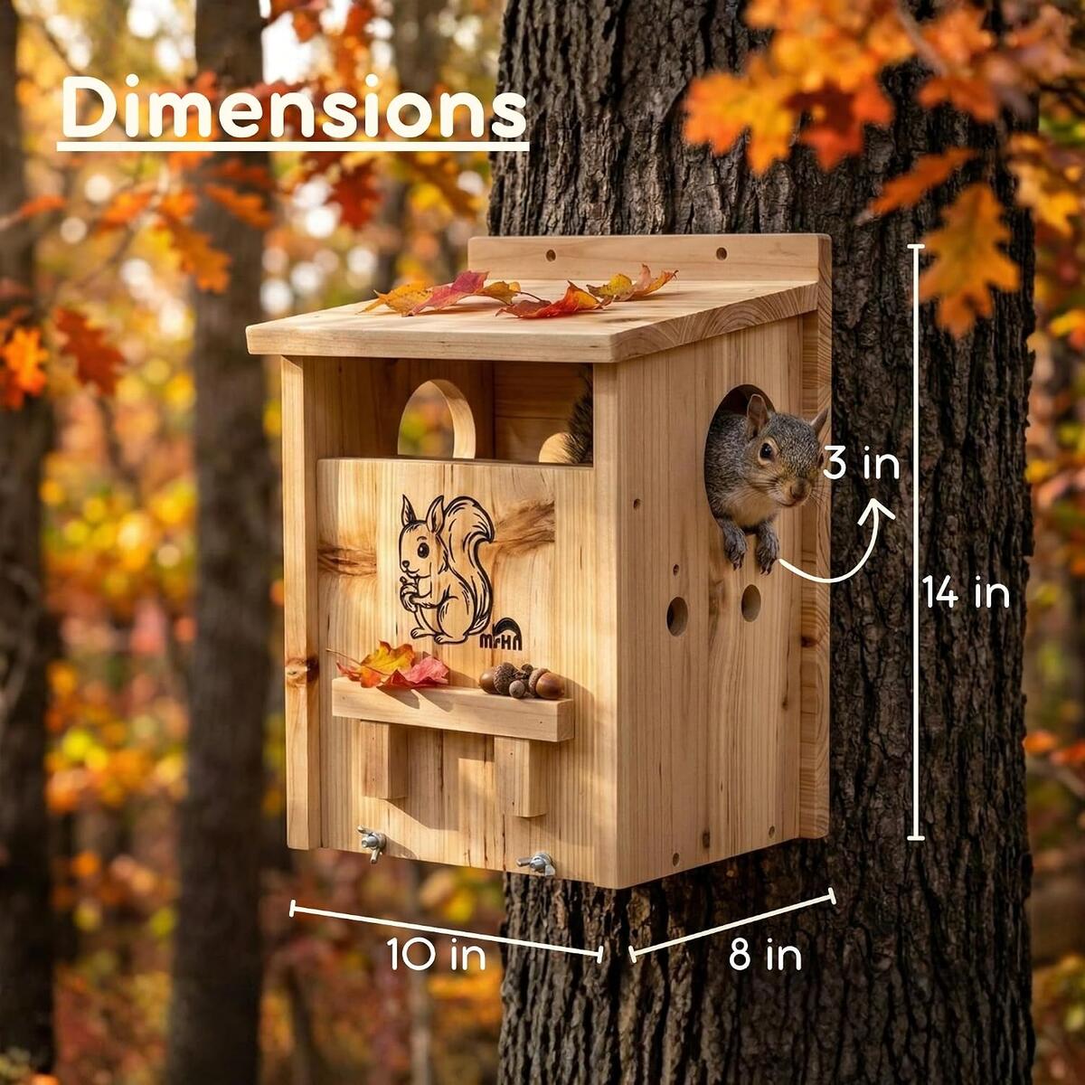 Squirrel House 2 Cashback Rebate - RebateKey