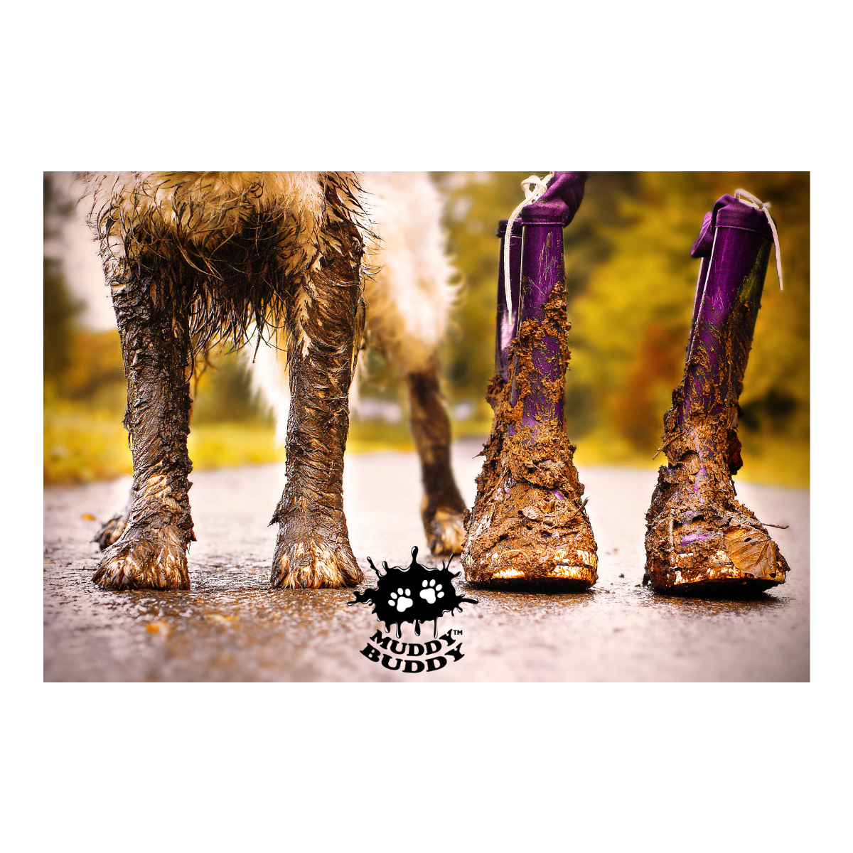 Portable Dog Shower Cashback Rebate - RebateKey