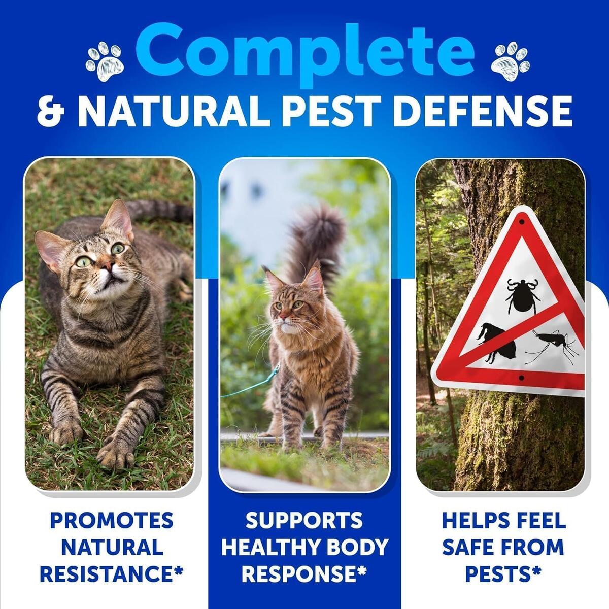 Flea And Tick Prevention For Cats Rebate - RebateKey