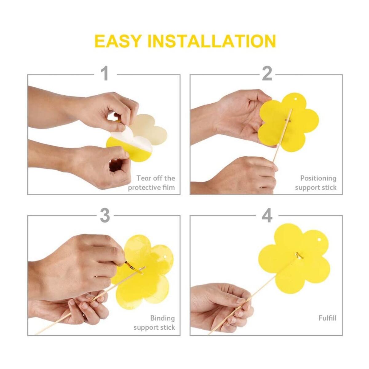 Insect Fly Trap Cashback Rebates - RebateKey