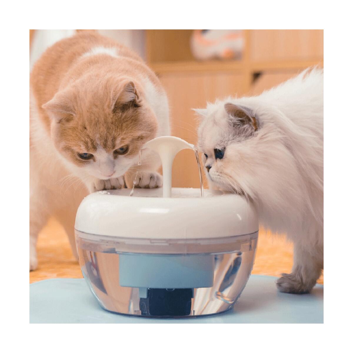 dog water bowl dispenser