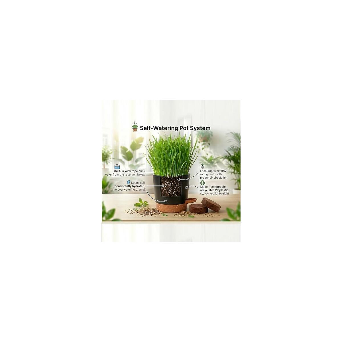 Cat Grass Kit 8 Cash Back - RebateKey
