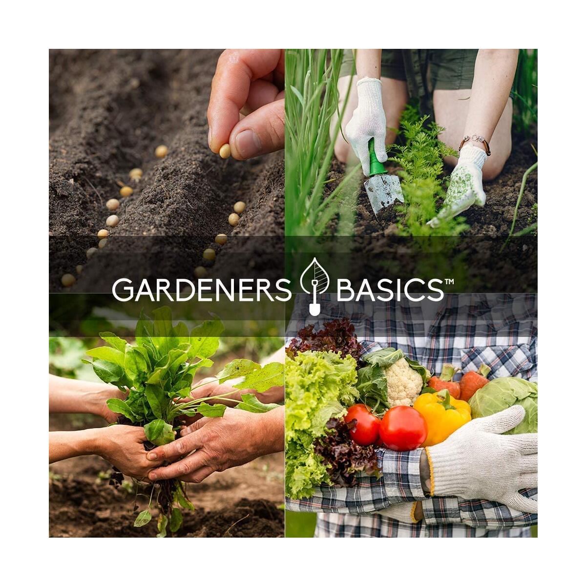 Prepper Seeds Cashback Rebates - RebateKey