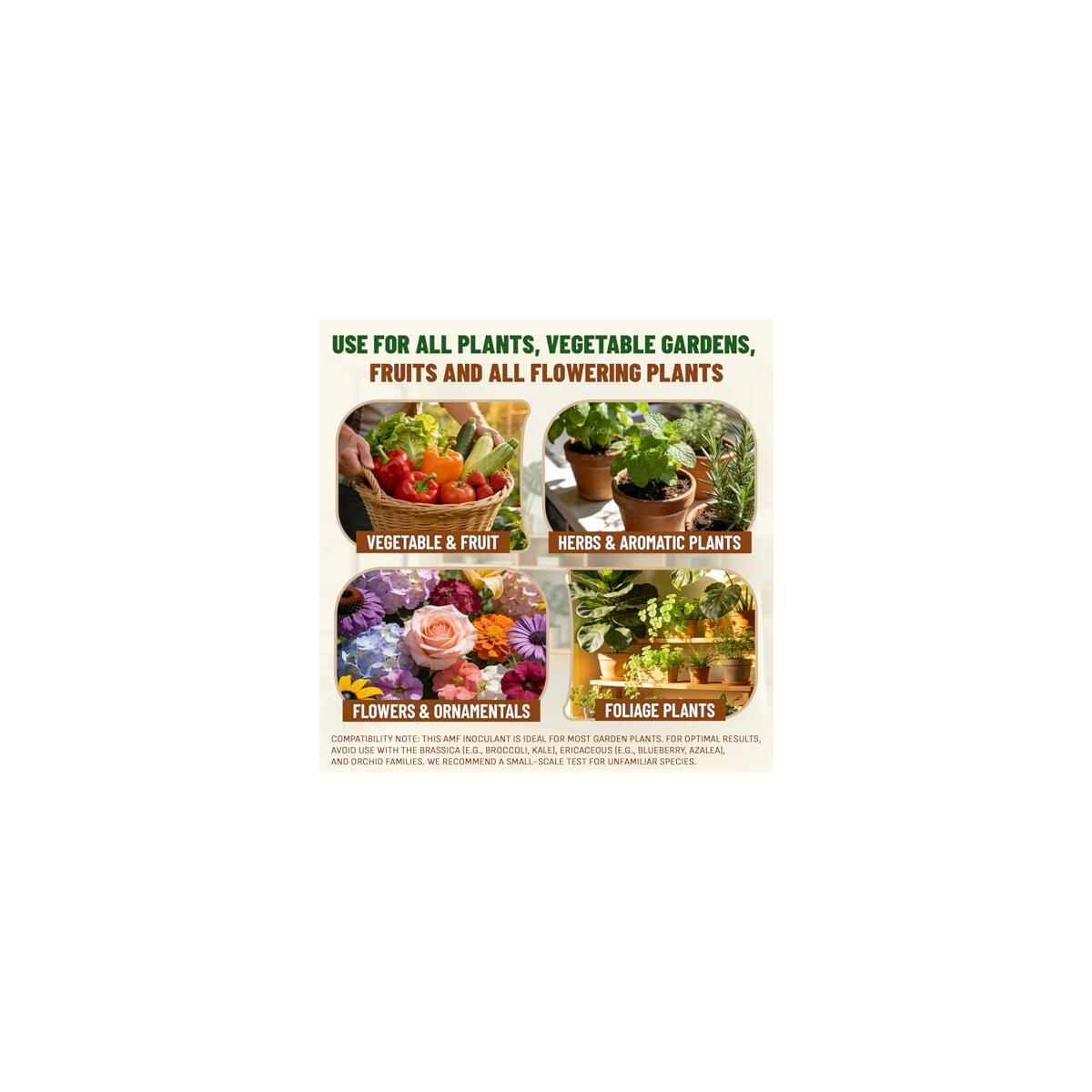 Mycorrhizal Fungi Inoculant Cashback Rebates - RebateKey