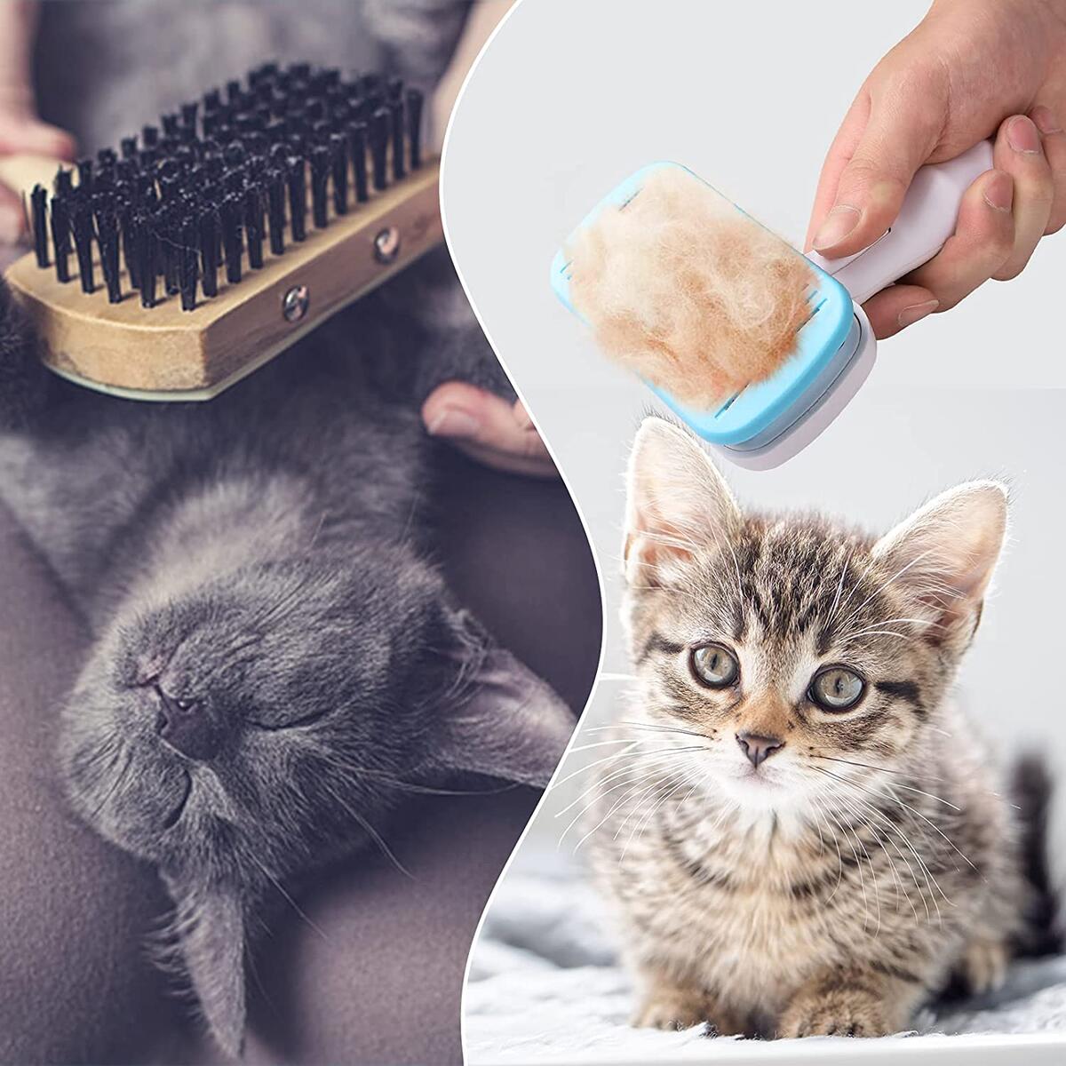 Cat Brush Cash Back - RebateKey