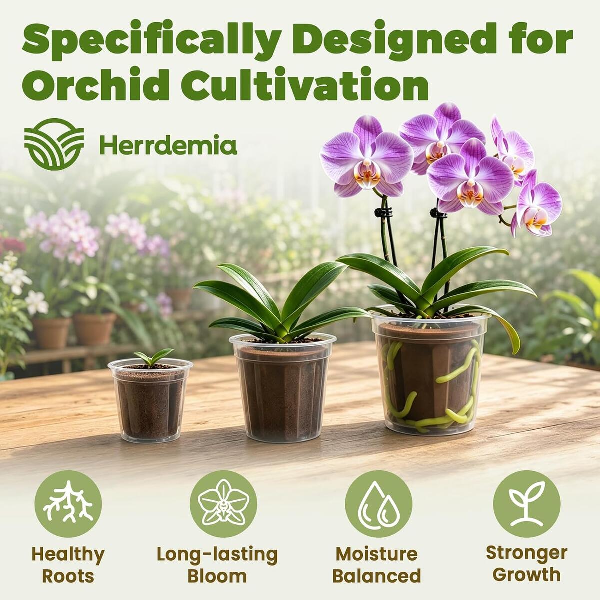 Orchid Potting Mix For Repotting Cashback - RebateKey