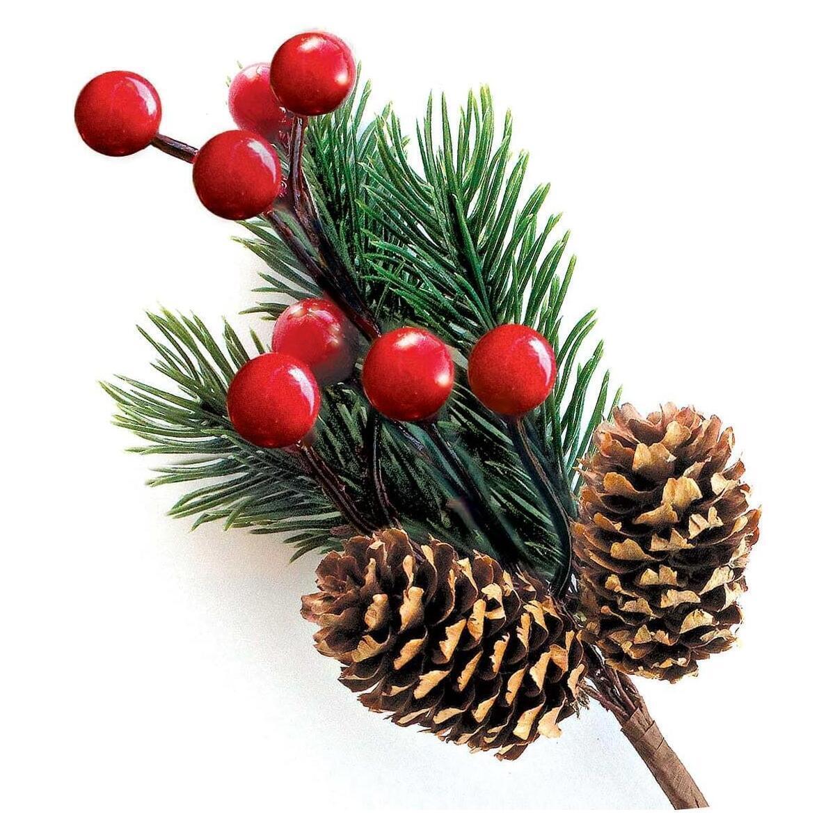 Red Berry Stems Pine Branches Evergreen Berries Cash Back - RebateKey