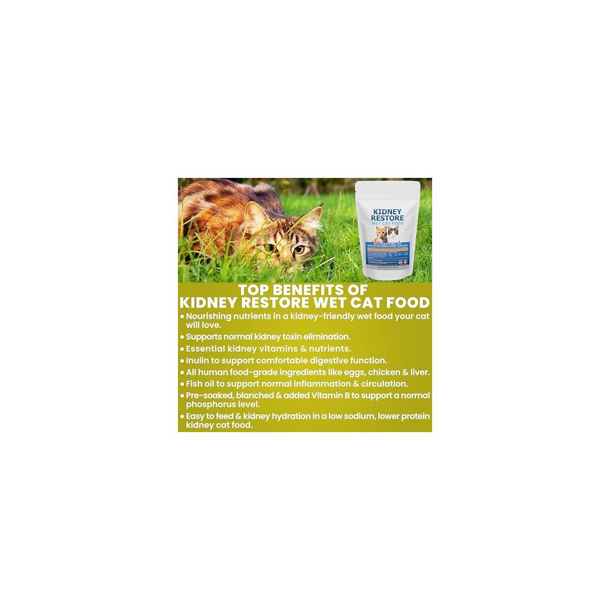 Non Prescription Renal Cat Food Cashback - RebateKey