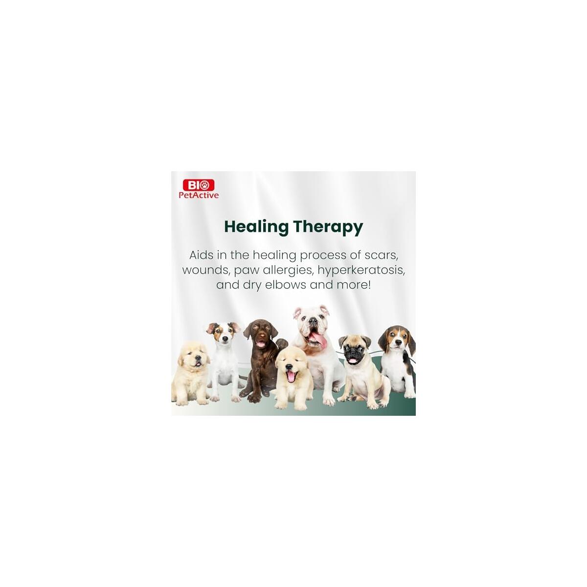 Dog Paw Balm 8 Rebates - RebateKey