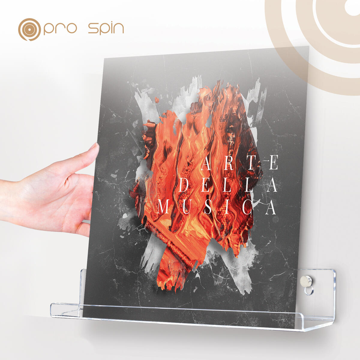 Wall Record Holder Cashback Rebate - RebateKey