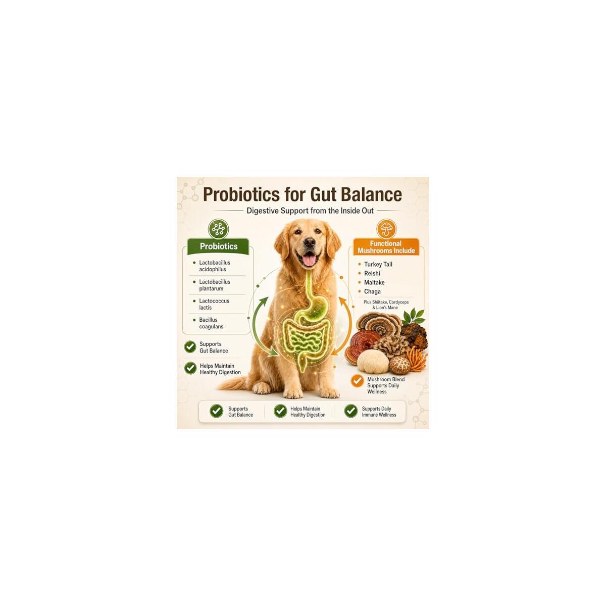 Turkey Tail Mushroom For Dogs Rebate - RebateKey