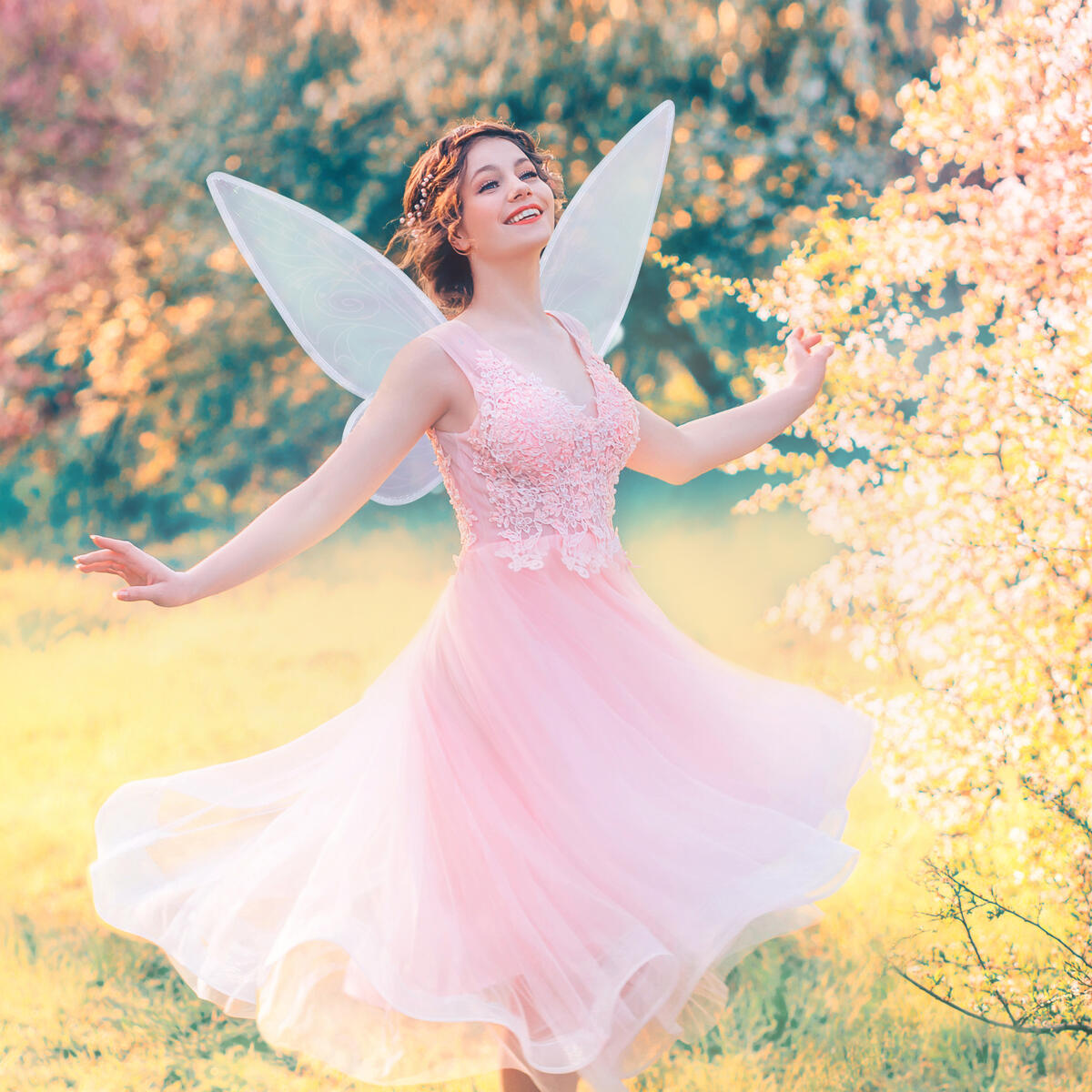 Fairy Wings For Adult Women Cashback Rebates - RebateKey
