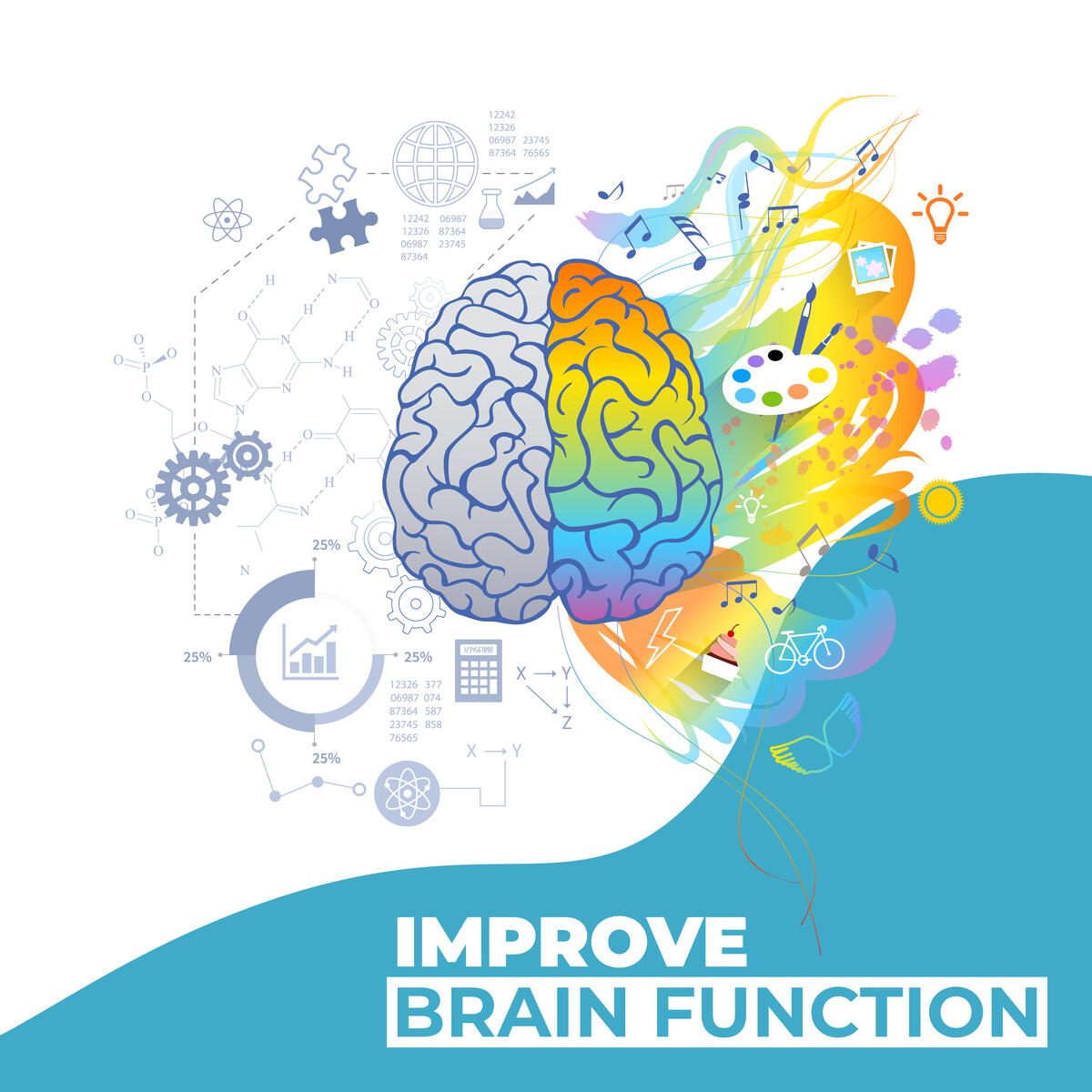 Brain Booster Supplement Cashback Rebate - RebateKey