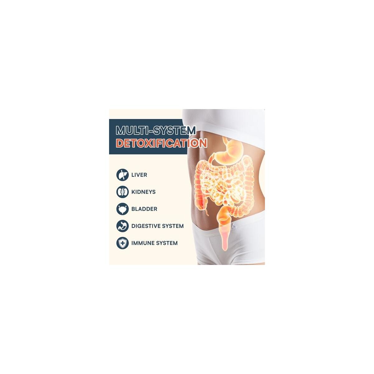 Detox Powder Supplement Cashback - RebateKey