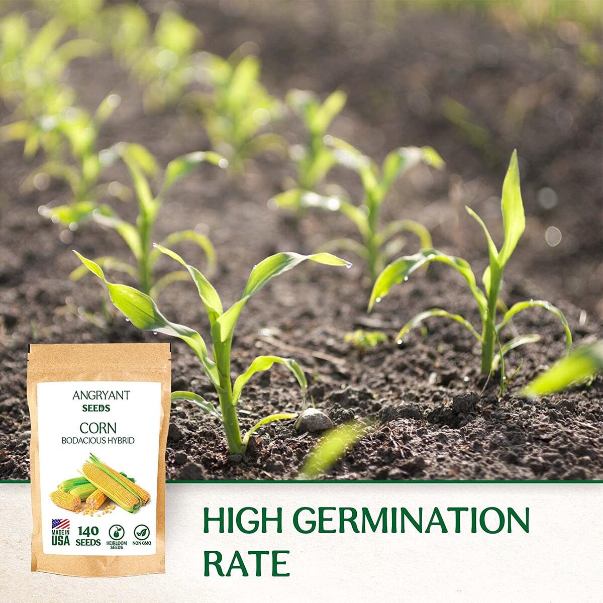 Corn Seeds Cash Back - RebateKey