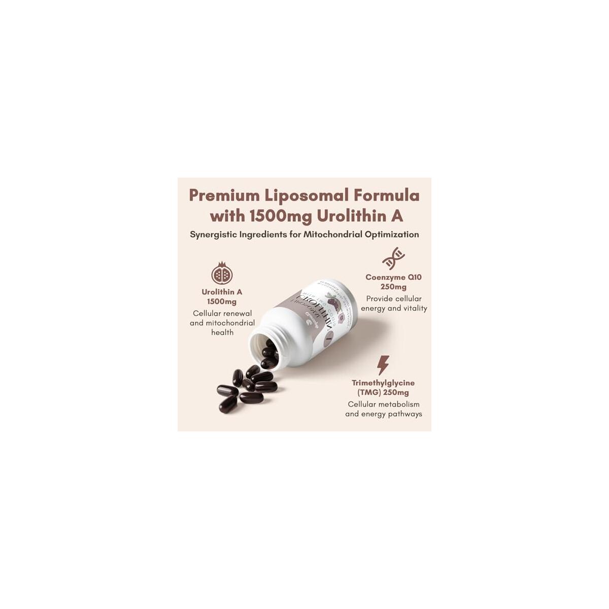 Liposomal Urolithin A Rebates - RebateKey