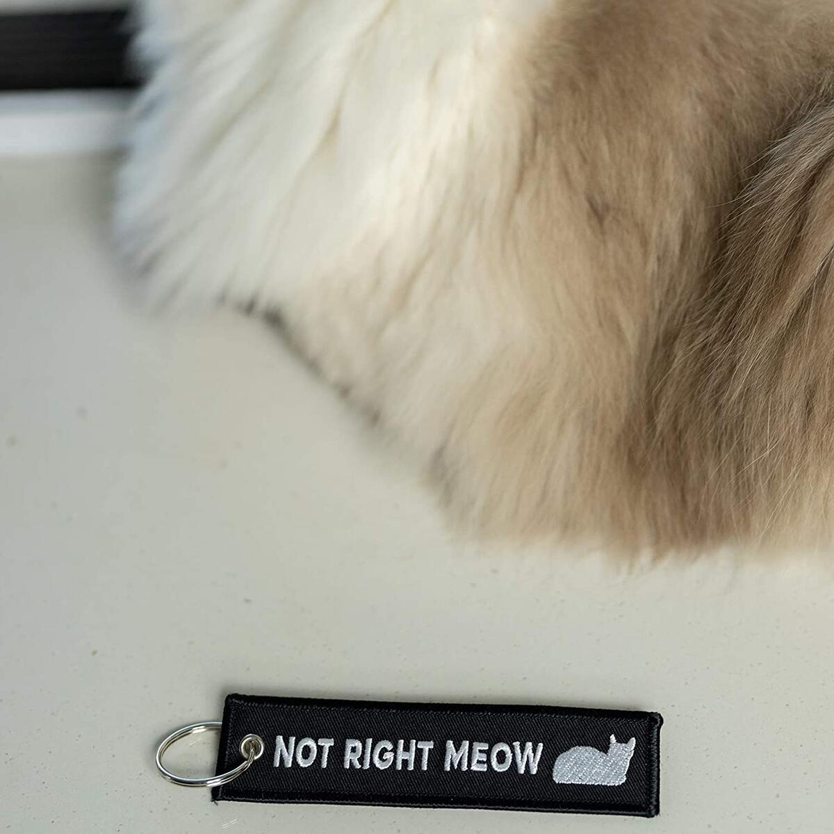 Cat Keychain Cashback Rebate - RebateKey