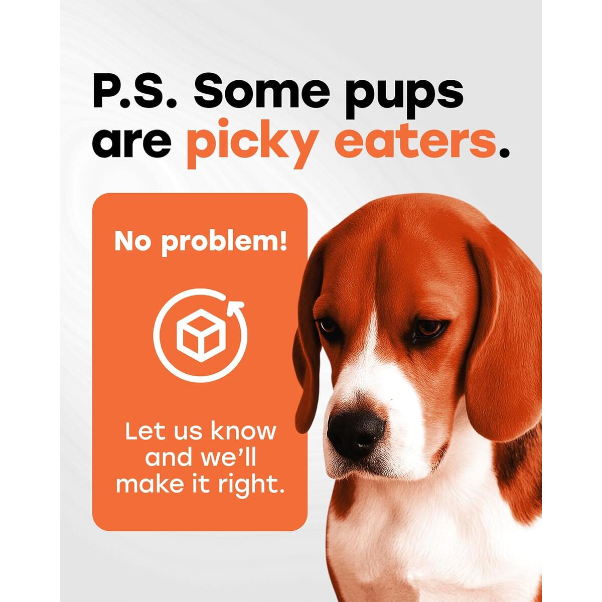 Glucosamine For Dogs 96 Rebates - RebateKey