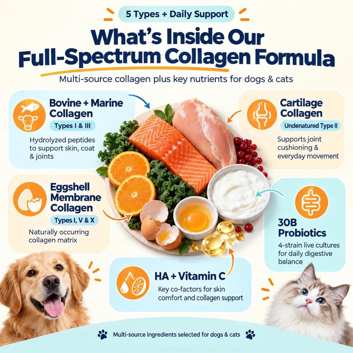 Liquid Collagen For Dogs 8 Rebate - RebateKey