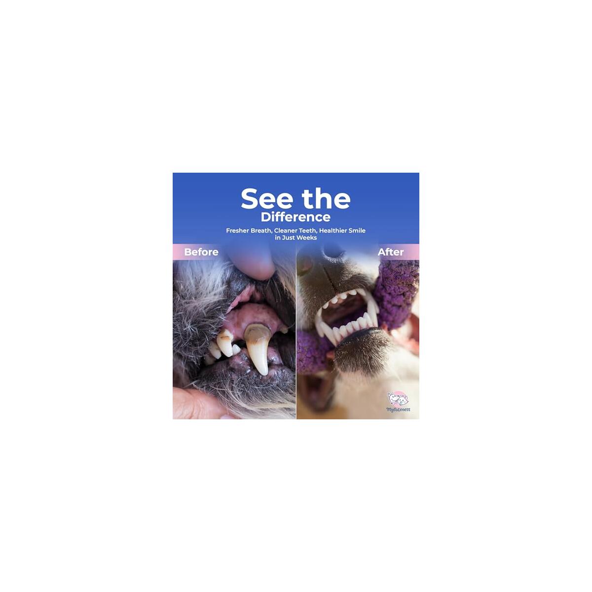 Pet Dental Care Solution Rebates - RebateKey