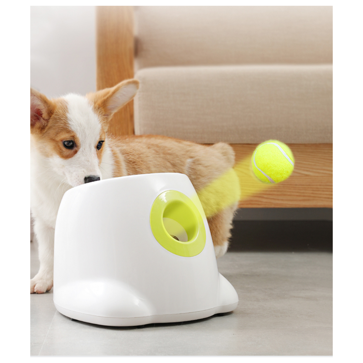 Automatic Dog Ball Launcher Cash Back - RebateKey
