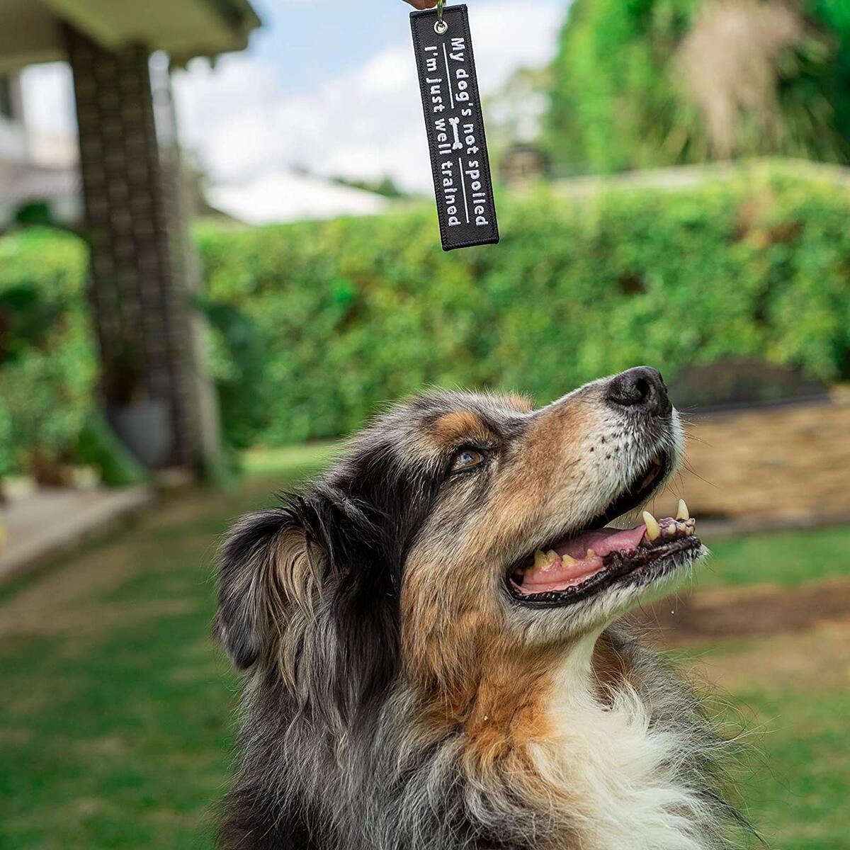 Dog Keychain Cashback Rebates - RebateKey