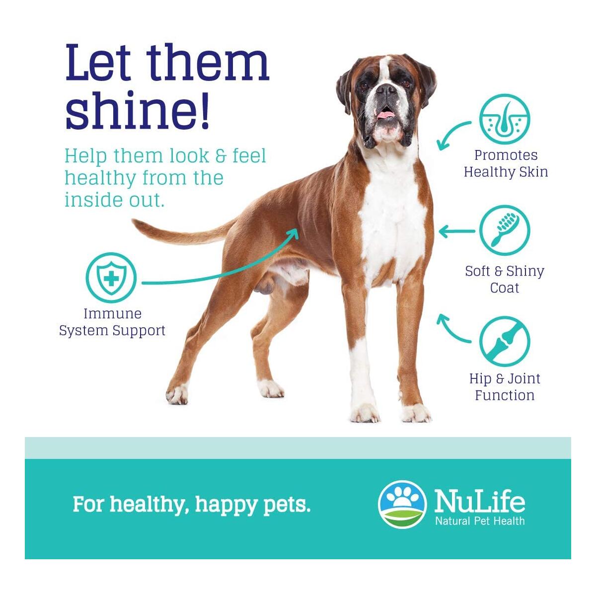 Omega 3 Fish Oil For Dogs Rebates - RebateKey