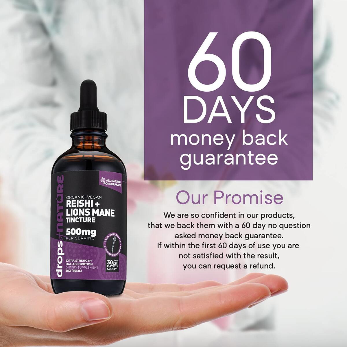 Reishi And Lions Mane Cash Back - RebateKey